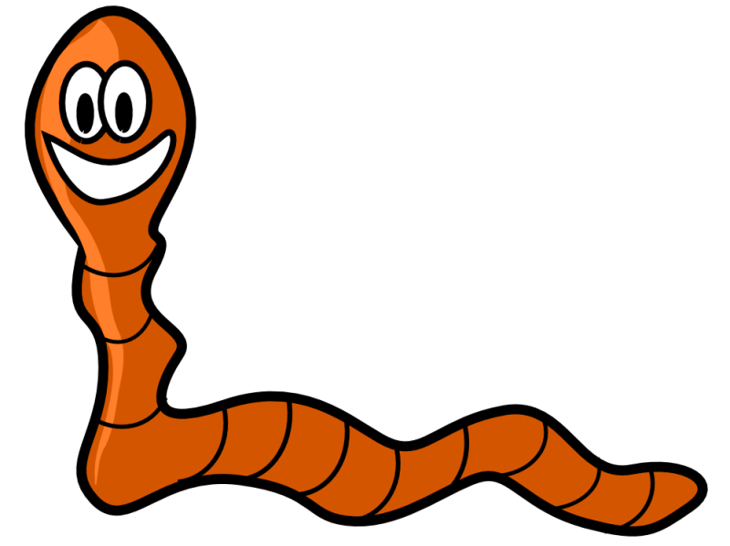 Worm clipart tapeworm, Worm tapeworm Transparent FREE for.