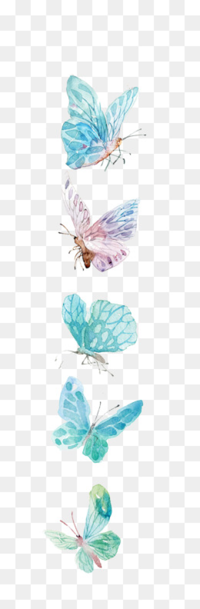 Butterfly PNG.