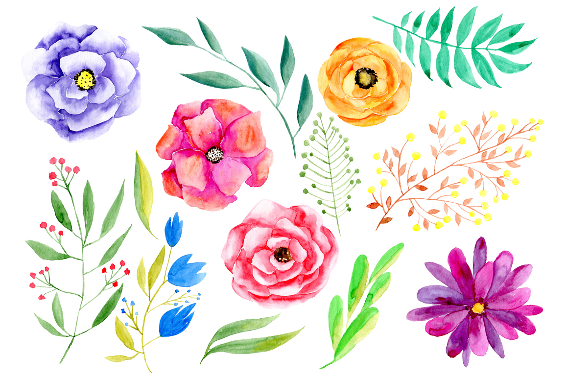 Watercolor Flower Clipart Png.