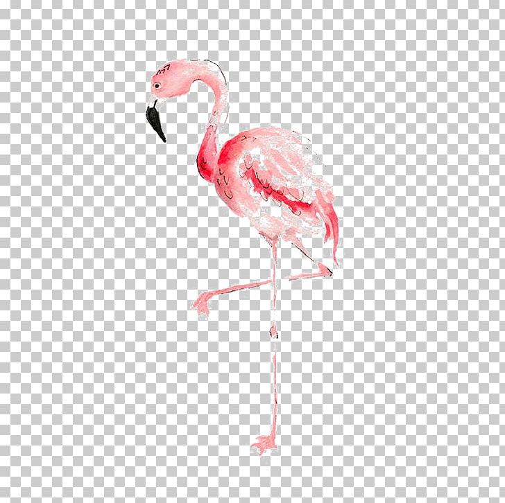 Flamingo Watercolor Painting Drawing PNG, Clipart, Animal.