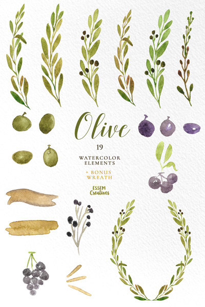 Watercolor Olive Branch Clipart, Leaves Clipart, Green.