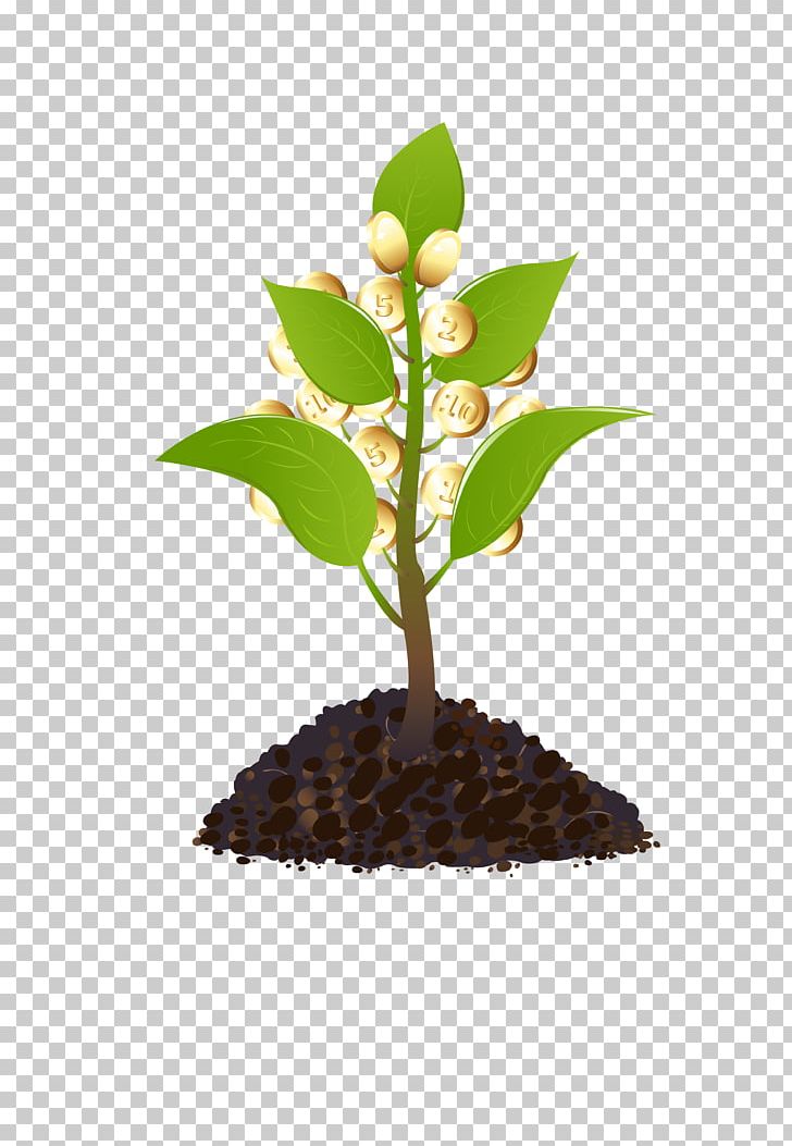 Tree Watering Can Plant PNG, Clipart, Bonsai, Creative.