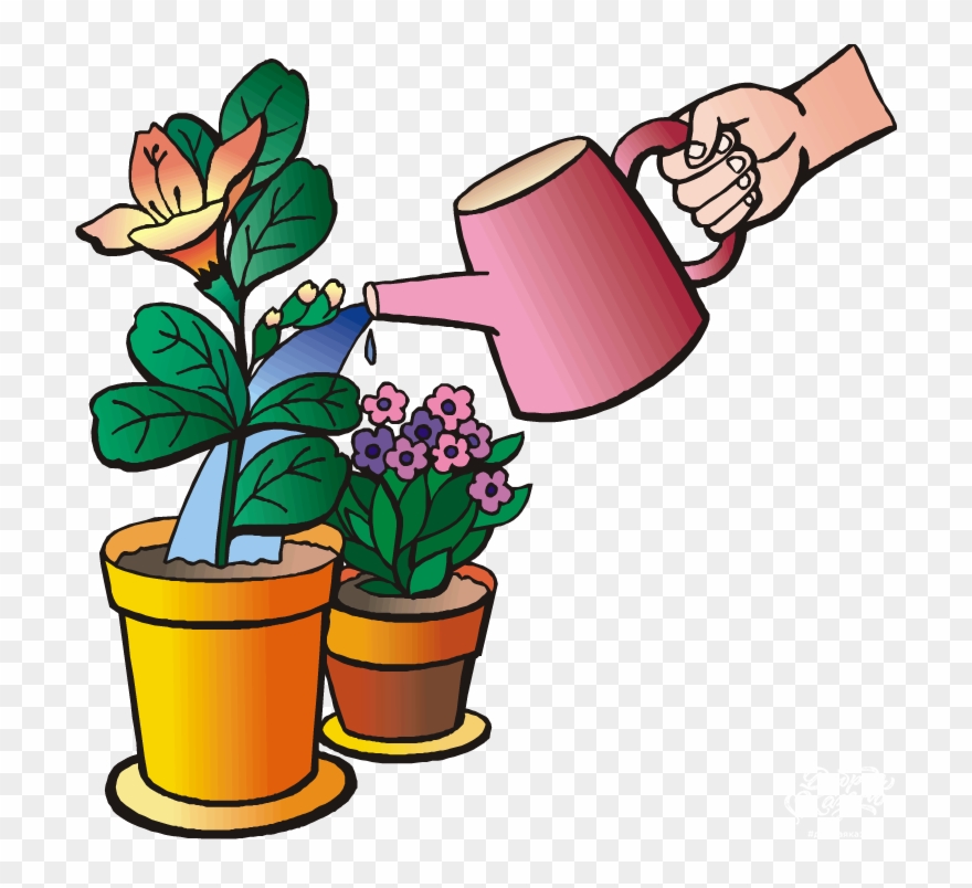 Water Plants Clip Art.