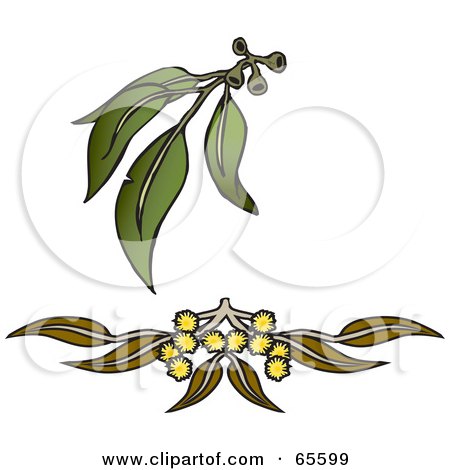 Wattle Tree Clip Art.