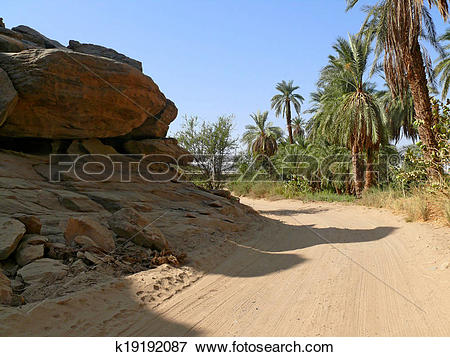 Picture of The road between Wadi Halfa and Khartoum. k19192087.