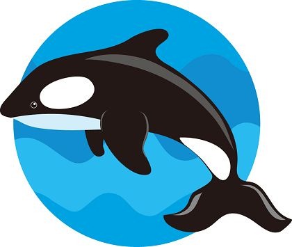 Cute Whale Clipart.