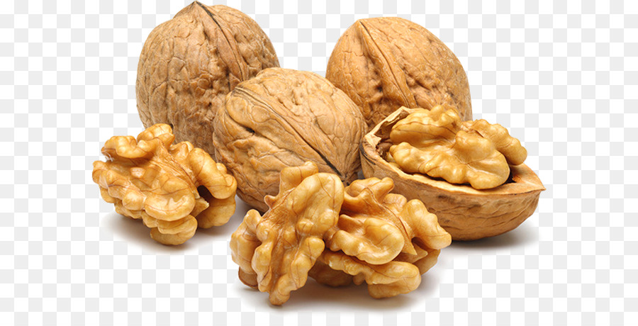 Walnut Tree png download.