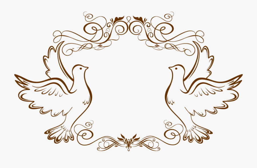 Transparent Pigeon Png.