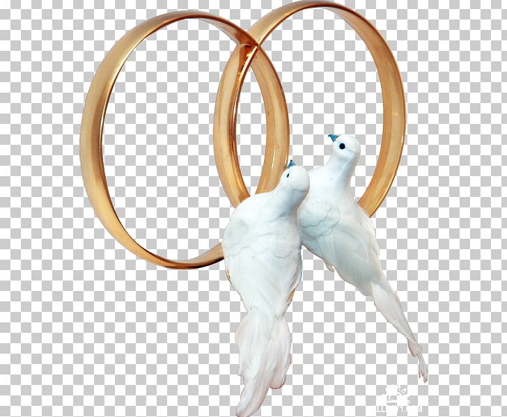 Pigeons And Doves Wedding Ring PNG, Clipart, Bird, Body.