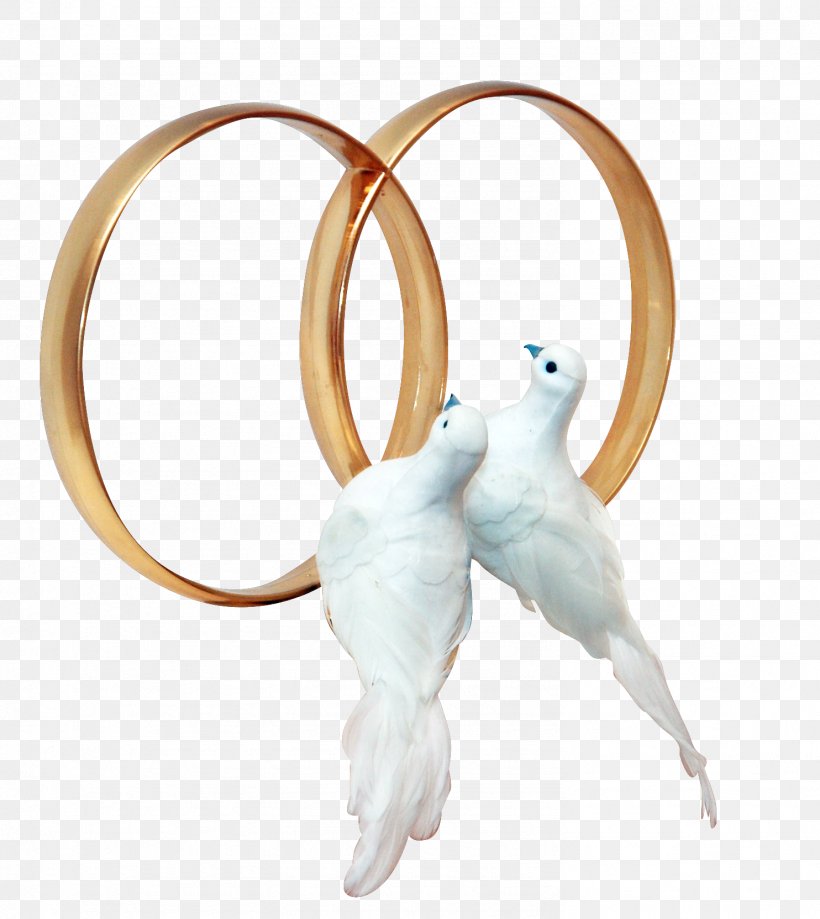 Pigeons And Doves Wedding Ring Clip Art, PNG, 1484x1664px.