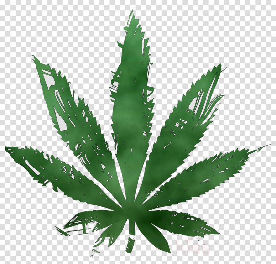 Cannabis Leaf Background clipart.