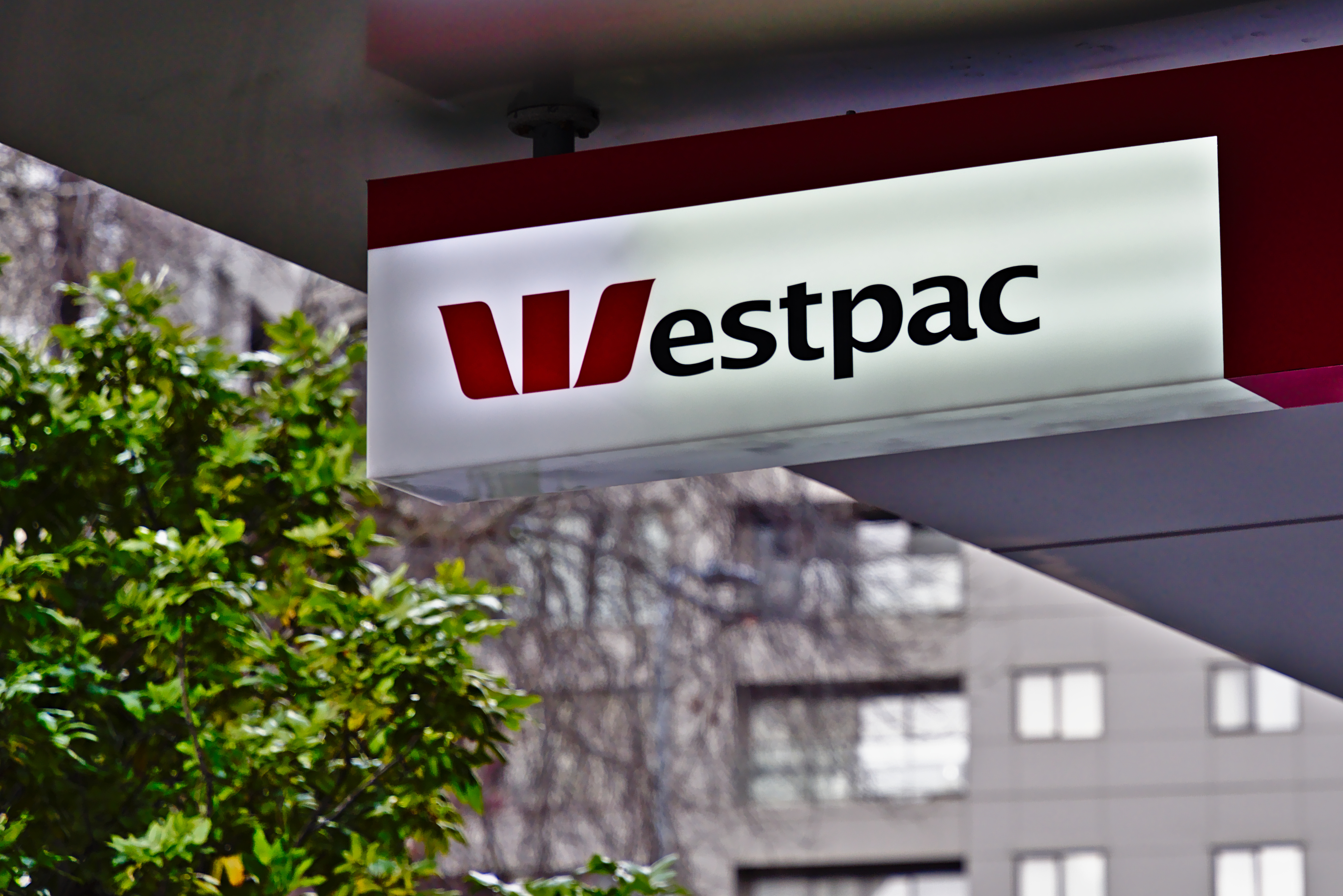 Westpac\'s big AUSTRAC dilemma.