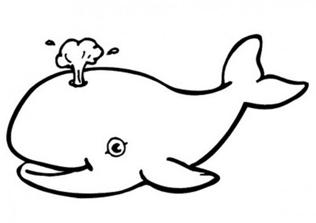 24 Whale Black And White free clipart.