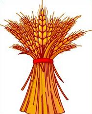 Free Wheat Clipart.