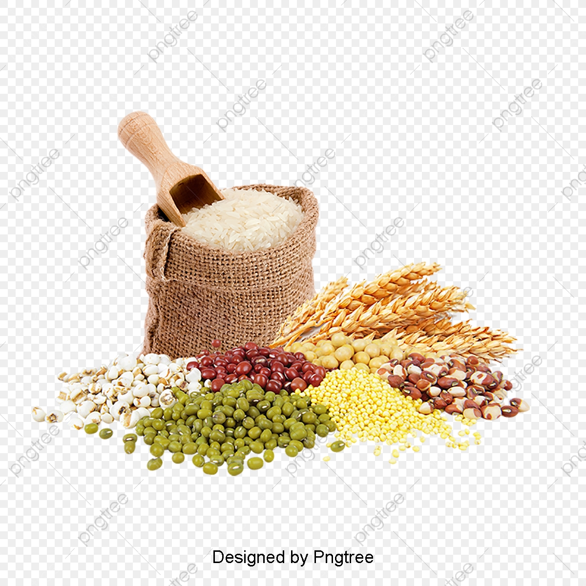 Wheat Flour Stock Image, Wheat Clipart, Dining, Wheat PNG.