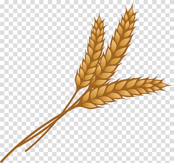 Brown wheat illustration, Wheat Ear Grain , wheat.