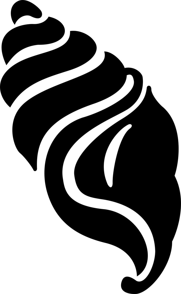 shell black and white clip art.