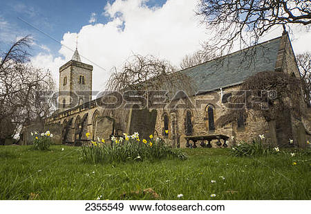 Stock Photograph of Wildflowers Growing In The Yard Of An Old.