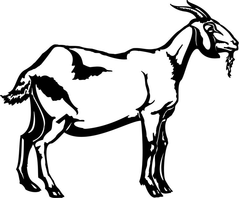 Goat Clip Art Black And White Image.