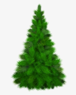 Free Pine Tree Clip Art with No Background.