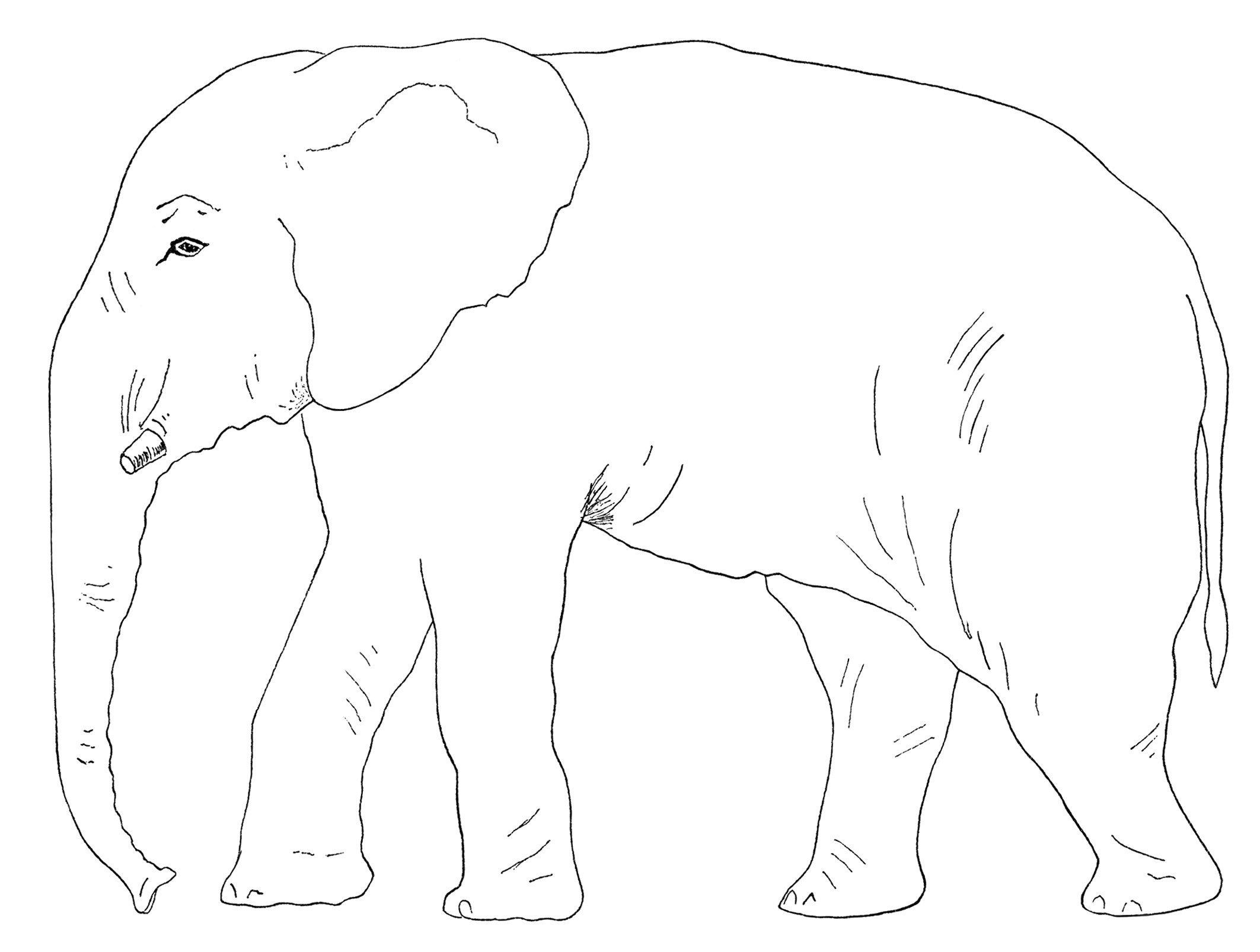 elephant clipart, old book page, vintage party game.