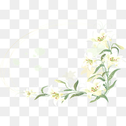 White Flower Border Clipart Png.