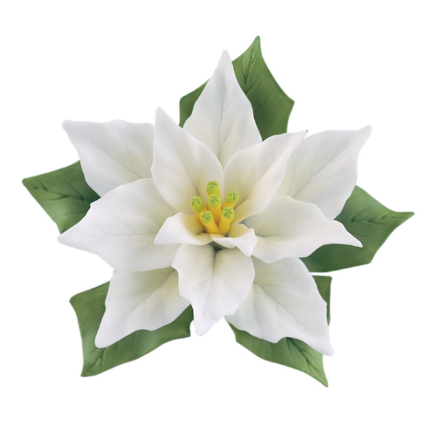 White Poinsettia Clipart.