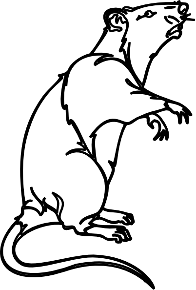 White Rat Clipart.