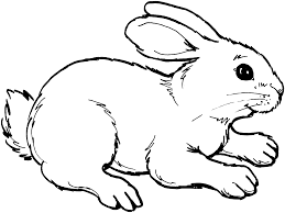 Image result for rabbit clipart black and white.