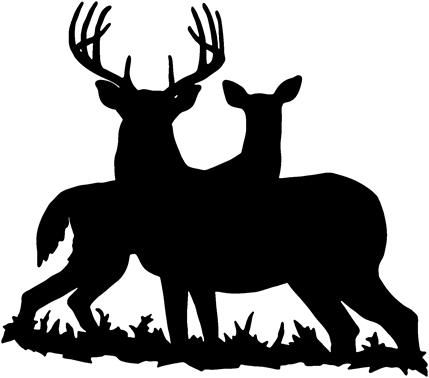 Deer hunting is survival hunting or sport hunting for deer, which.