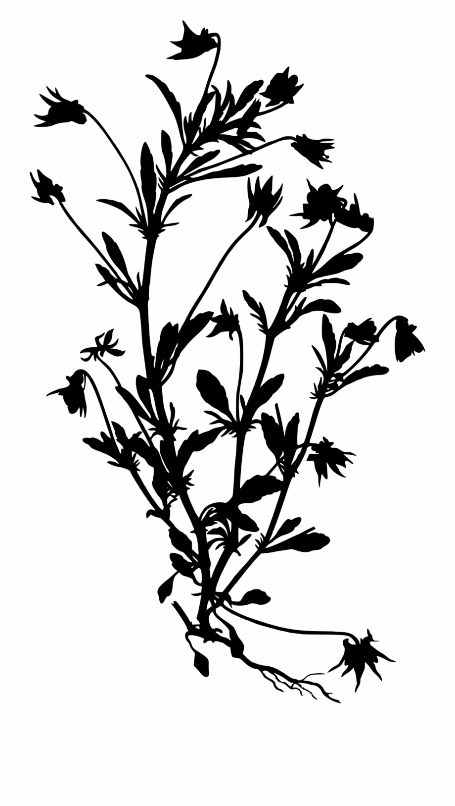 Free Wildflower Clipart Black And White, Download Free Clip.