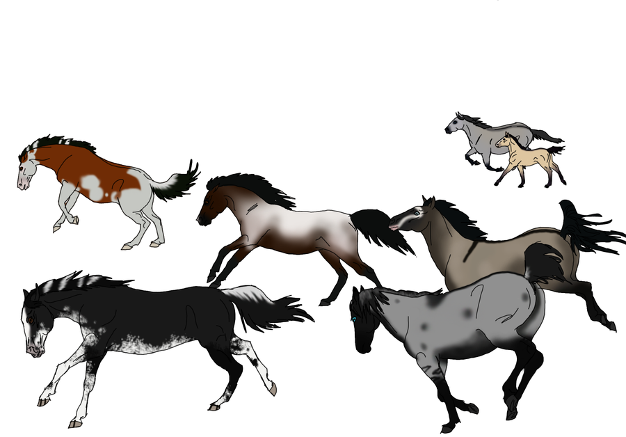 Horse Drawings.