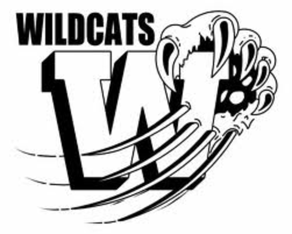 Free Wildcat Basketball Cliparts, Download Free Clip Art, Free Clip.