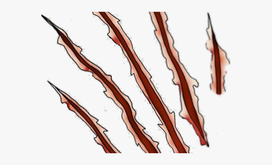 Scar Clipart Claw Rip.