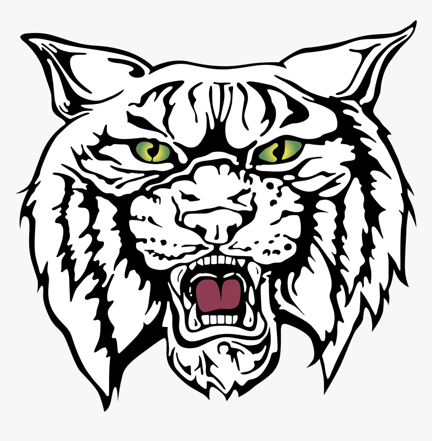 Wildcat Clipart Free Download Best Wildcat Clipart.