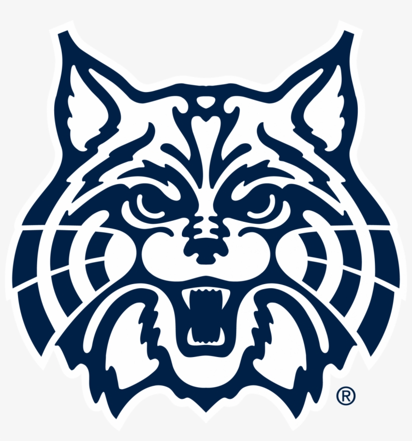 Wildcat Clipart Face.