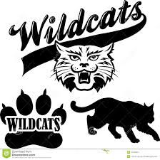 17 Best images about wildcats on Pinterest.