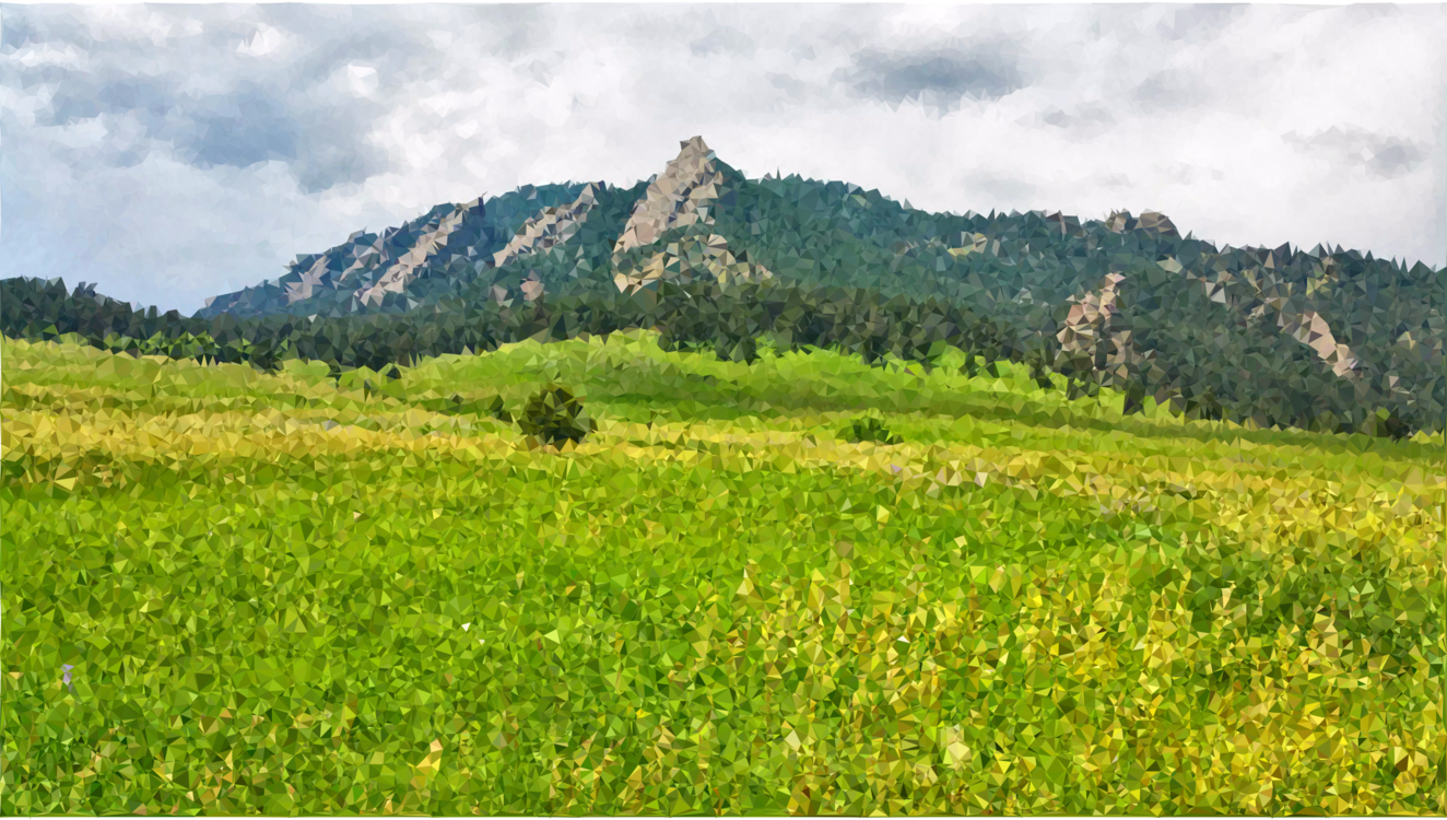 Meadow,Wilderness,Shrubland PNG Clipart.