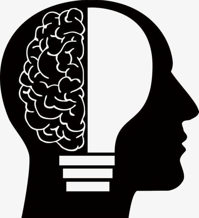 Wisdom Of The Brain PNG, Clipart, Brain, Brain Clipart, Bulb.