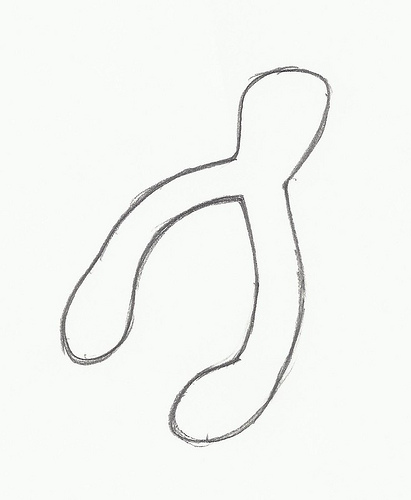 Free Wishbone Cliparts, Download Free Clip Art, Free Clip.