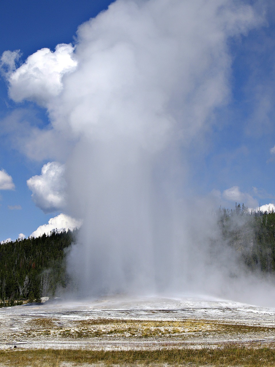 Old faithful,geyser,yellowstone national park,wyoming,usa.