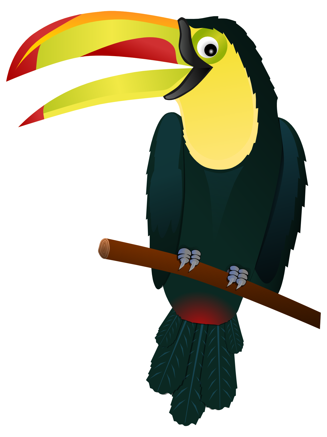 Best Toucan Clipart #19600.