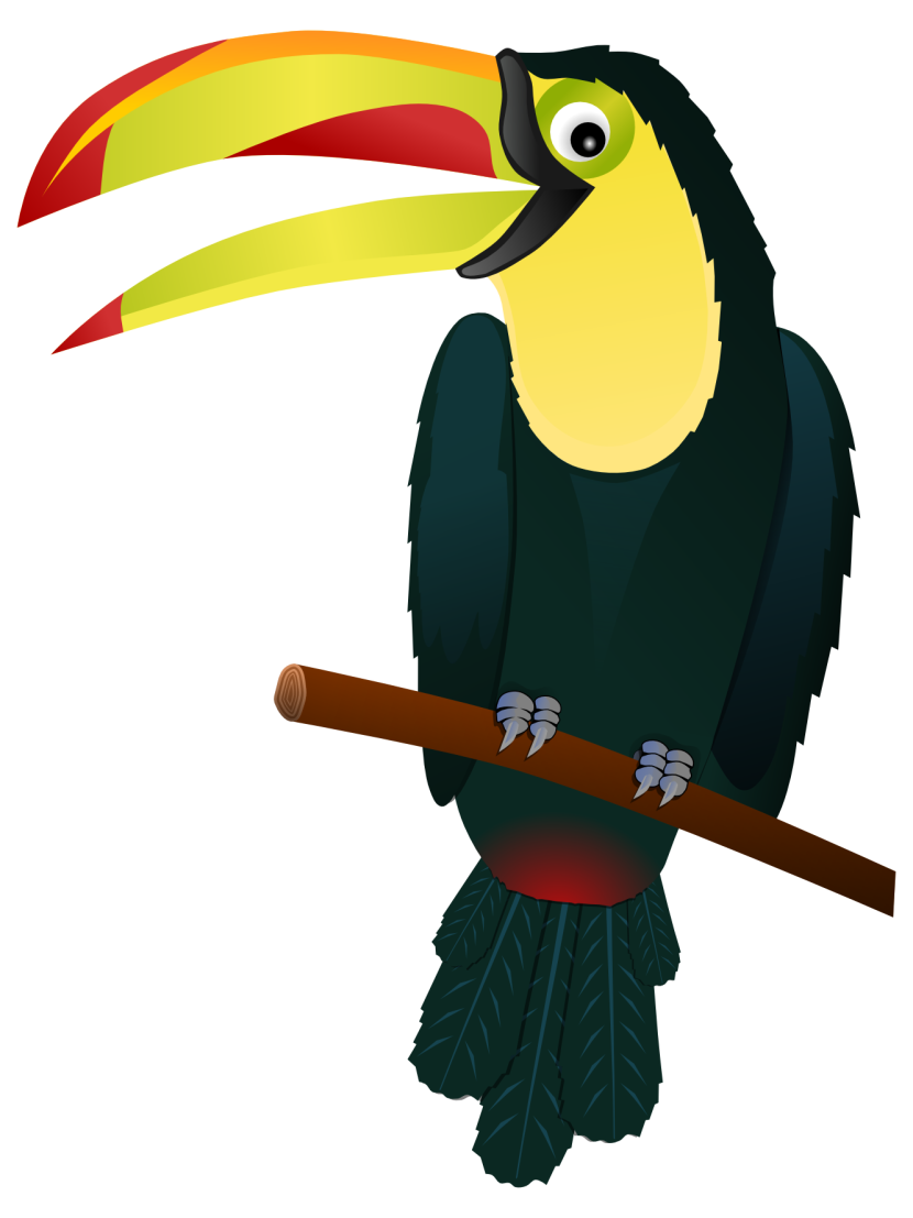 Best Toucan Clipart #19681.