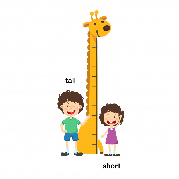 Opposite tall and short vector illustration Vector.