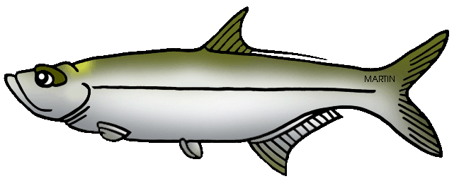 Animals Clip Art by Phillip Martin, FIghting Tarpon.