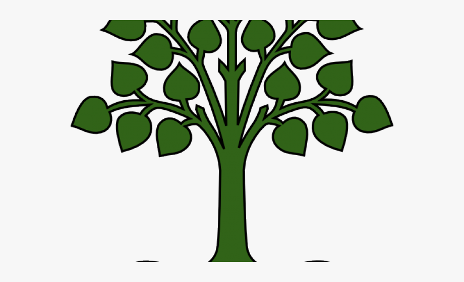 Png Free Library Roots Clipart Root Texas.