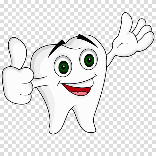 Dentistry Human tooth , cartoon tooth transparent background.