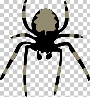 Telaraña PNG cliparts descarga gratuita.