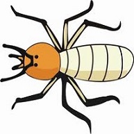 Free Termite Clipart.