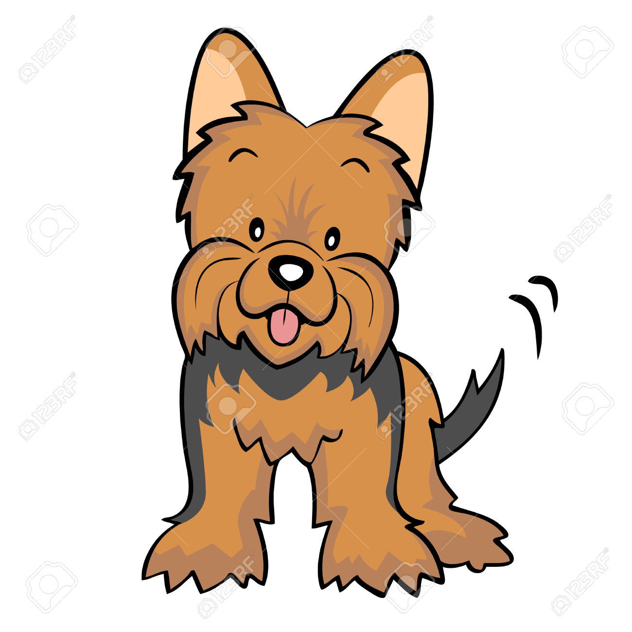 699 Yorkshire Terrier Stock Vector Illustration And Royalty Free.